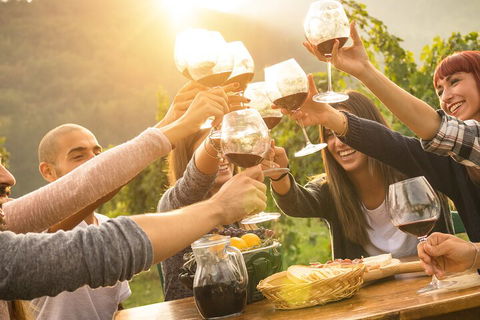 Yarra Valley, Dandenong Ranges Inc. Lunch With Wine,plus Morning Tea,chocolate - Accommodation Daintree 4