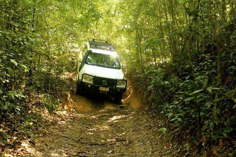 Barron Gorge And Kuranda National Park Half Day Rainforest And Waterfall 4WD Tour From Cairns - Accommodation Daintree 2