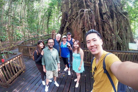 Barron Gorge And Kuranda National Park Half Day Rainforest And Waterfall 4WD Tour From Cairns - Accommodation Daintree 5