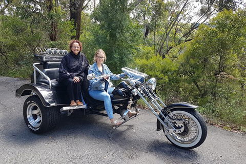 Blue Mountains 1-Hour Trike Tour Of Three Sisters - Accommodation Daintree 1
