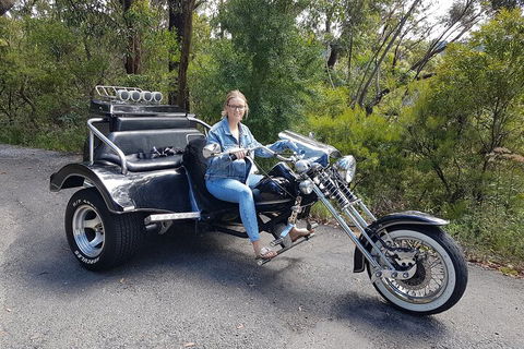Blue Mountains 1-Hour Trike Tour Of Three Sisters - Accommodation Daintree 4