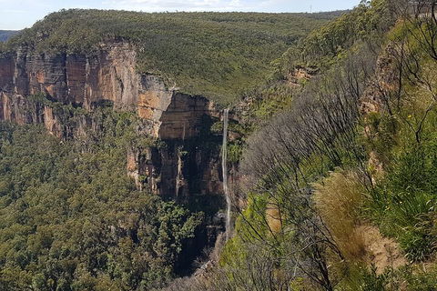 Blue Mountains 1-Hour Trike Tour Of Three Sisters - Accommodation Daintree 5