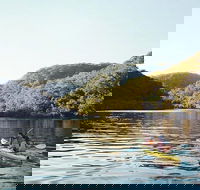 5 day Kayak Adventure down Hawkesbury River - Accommodation Daintree