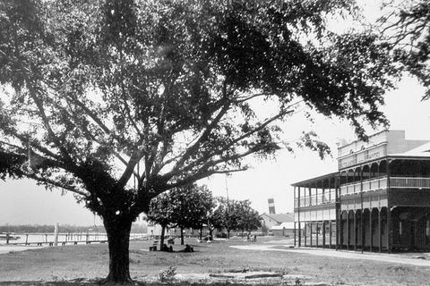 Cairns History Walking Tour - Accommodation Daintree 2