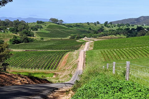 The Complete Hunter Valley Wine Tour Of Pokolbin, Mt View, Lovedale And Rothbury - Accommodation Daintree 0