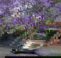 Sydney Secrets  Bondi Beach Private 4 Hr Morning with Personalised Sydney Tours - Accommodation Daintree
