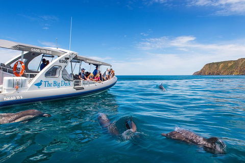 Victor Harbor And McLaren Vale Wine Region Day Tour - Accommodation Daintree 1