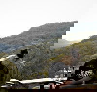Taste of the Blue Mountains - Lunch  Wine tasting Beer Cider  Gin Tasting - Accommodation Daintree