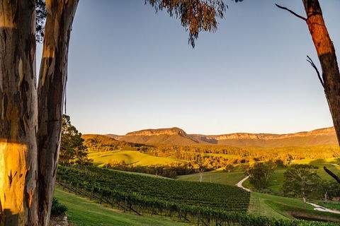 Taste Of The Blue Mountains - Lunch & Wine Tasting, Beer, Cider & Gin Tasting - Accommodation Daintree 1