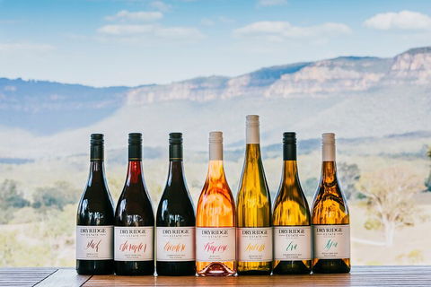 Taste Of The Blue Mountains - Lunch & Wine Tasting, Beer, Cider & Gin Tasting - Accommodation Daintree 3