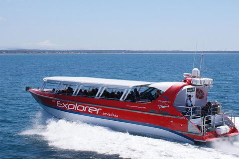 Whale Watching Jervis Bay - Accommodation Daintree 1