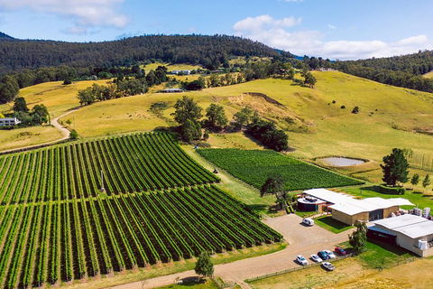 Tasmanian Wine Tour - Accommodation Daintree 4