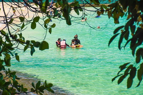 Green Island Day Trip From Cairns - Accommodation Daintree 2