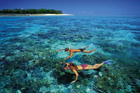 Green Island Day Trip From Cairns - Accommodation Daintree 5