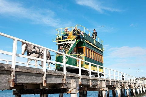 6 Days Adelaide All-Inclusive Touring Package - Accommodation Daintree 2