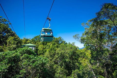 Skyrail Rainforest Cableway Day Trip From Cairns - Accommodation Daintree 1