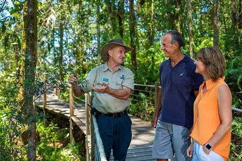 Kuranda Scenic Railway Day Trip From Cairns - Accommodation Daintree 1