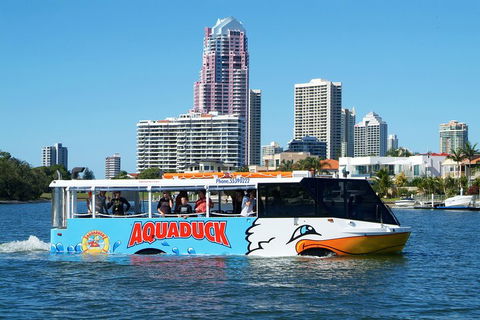 The Ultimate Gold Coast Attractions Pass - Accommodation Daintree 1