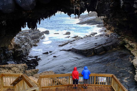 Full-Day Kangaroo Island Safari From Penneshaw - Accommodation Daintree 1