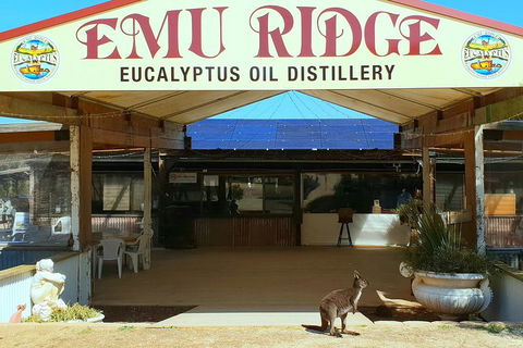 Full-Day Kangaroo Island Safari From Penneshaw - Accommodation Daintree 2