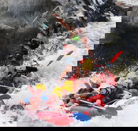 Barron Gorge National Park Half-Day White Water Rafting from Cairns or Port Douglas - Accommodation Daintree