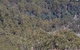 Leven Canyon Day Trip Including Wings Wildlife Park Or Gunns Plains Caves - thumb 4