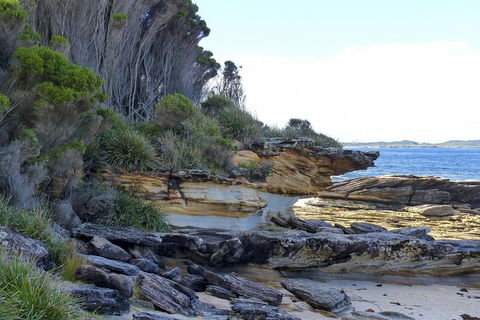 Day Trip To Cronulla & The Royal National Park - Accommodation Daintree 4