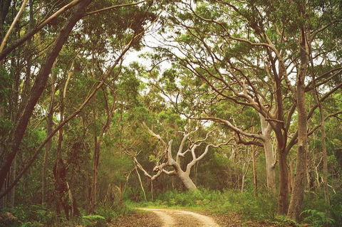 Day Trip To Cronulla & The Royal National Park - Accommodation Daintree 5
