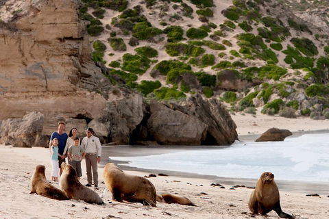 Kangaroo Island Scenic Trail Tour - Accommodation Daintree 5