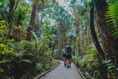 Full Day Cooktown Private Tour - Accommodation Daintree 0