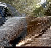 4x4 Off-Road Tour - Accommodation Daintree