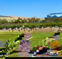 Private Picnic and Wine Tasting Experience in Barossa Valley - Accommodation Daintree