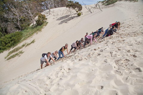 3 Day Tasmanian Wild West Coast Tour From Hobart To Launceston - Accommodation Daintree 2