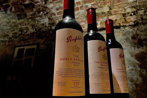 The Ultimate Penfolds Magill Estate Wine & Underground Cellar Tour - Accommodation Daintree 5