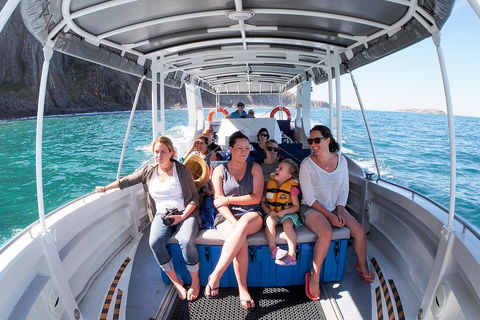 Seal Island Boat Tour From Victor Harbor - Accommodation Daintree 1