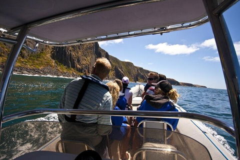 Seal Island Boat Tour From Victor Harbor - Accommodation Daintree 2