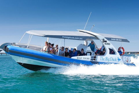 Seal Island Boat Tour From Victor Harbor - Accommodation Daintree 3