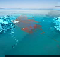 Ocean Freedom Great Barrier Reef Personal Luxury Snorkel  Dive Cruise Cairns - Accommodation Daintree