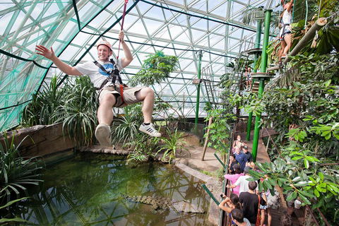 Cairns ZOOM And Wildlife Dome - Accommodation Daintree 4