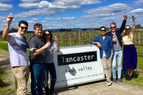Swan Valley Tour From Perth: Wine, Beer And Chocolate Tastings - Accommodation Daintree 1