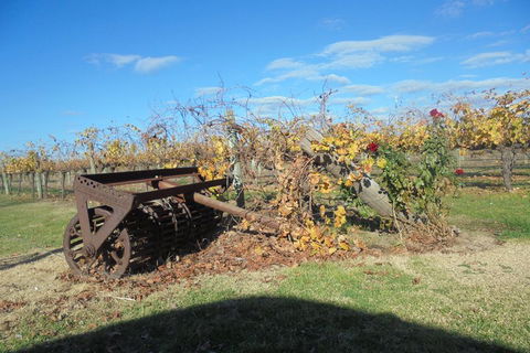 Swan Valley Tour From Perth: Wine, Beer And Chocolate Tastings - Accommodation Daintree 3