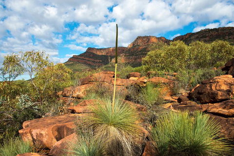 6-Day Eyre Peninsula & Flinders Ranges Adventure Tour - Accommodation Daintree 1
