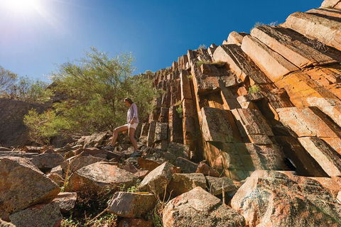 6-Day Eyre Peninsula & Flinders Ranges Adventure Tour - Accommodation Daintree 4