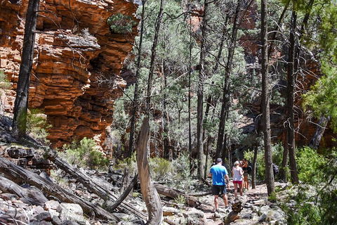 6-Day Eyre Peninsula & Flinders Ranges Adventure Tour - Accommodation Daintree 5