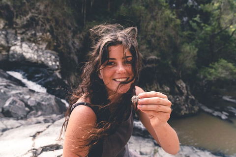 Springbrook AndTamborine Rainforest Tour Incl Natural Bridge And Glow Worm Cave - Accommodation Daintree 1