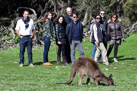 2-Day Kangaroo Island 4WD Small-Group Tour From Adelaide - Accommodation Daintree 1