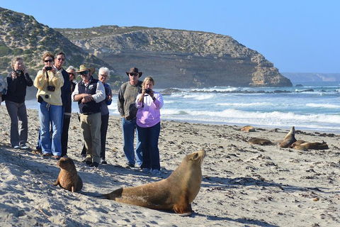 2-Day Kangaroo Island 4WD Small-Group Tour From Adelaide - Accommodation Daintree 3