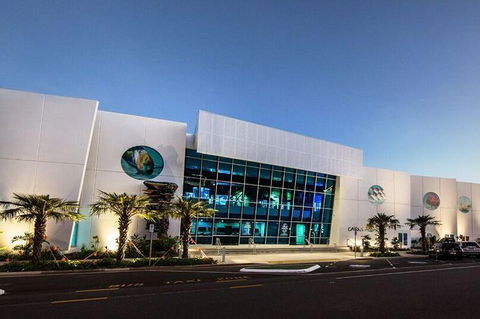 Cairns Aquarium Admission Ticket - Accommodation Daintree 4