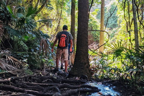 Hike To The Figure Eight Pools - Accommodation Daintree 0