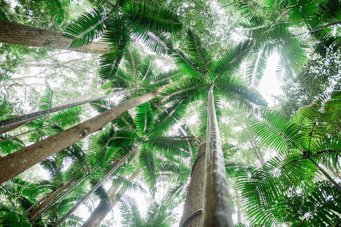 Fraser Explorer K'gari 2-Day Tour - Accommodation Daintree 2